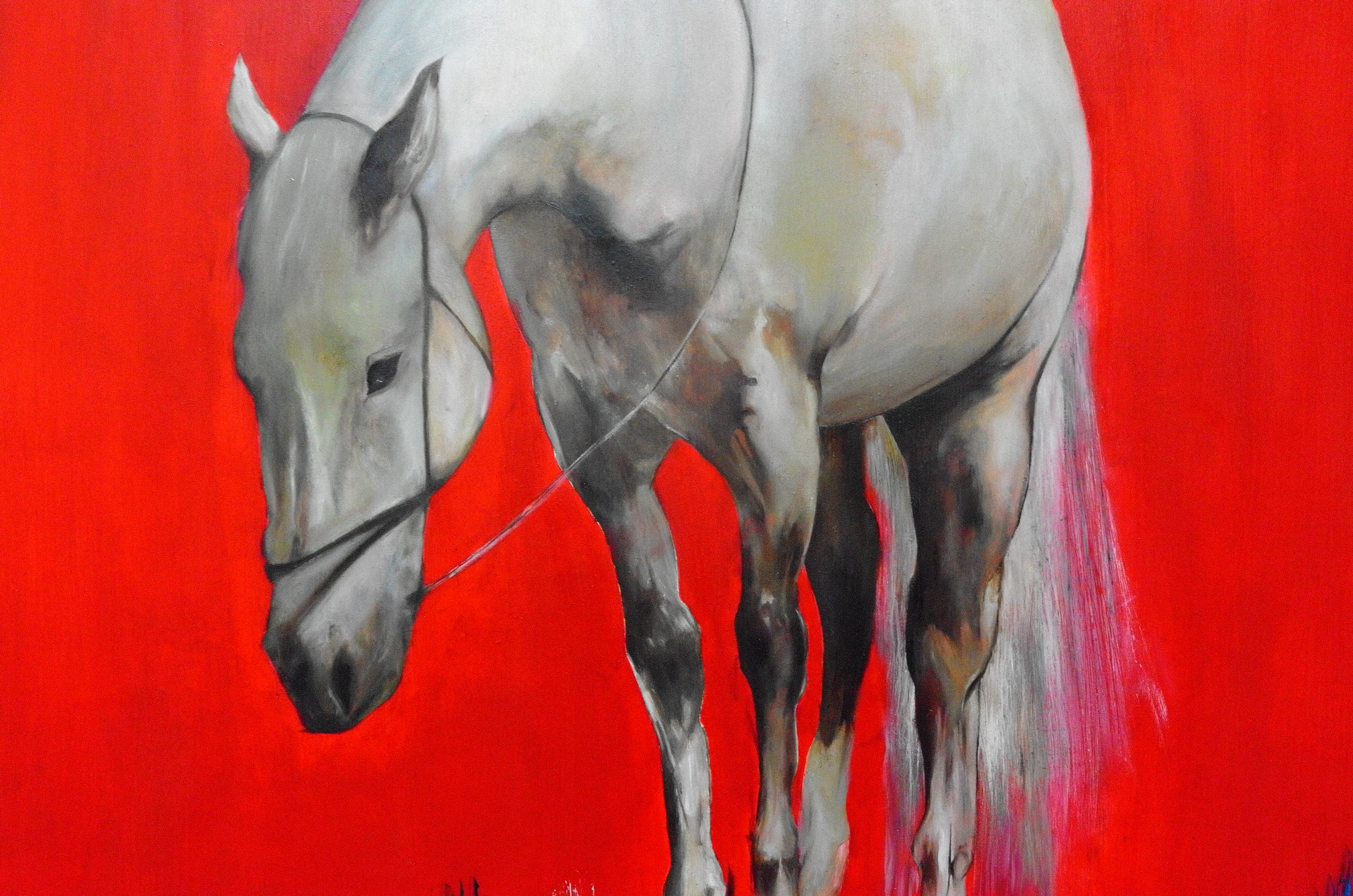 Detail crop of the horse body against the red background